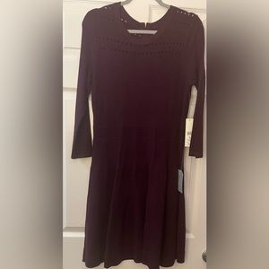 Eliza J Maroon Sweater Dress